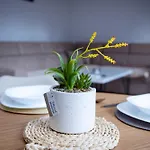 Apartman Stone