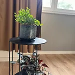 Stone Apartament *